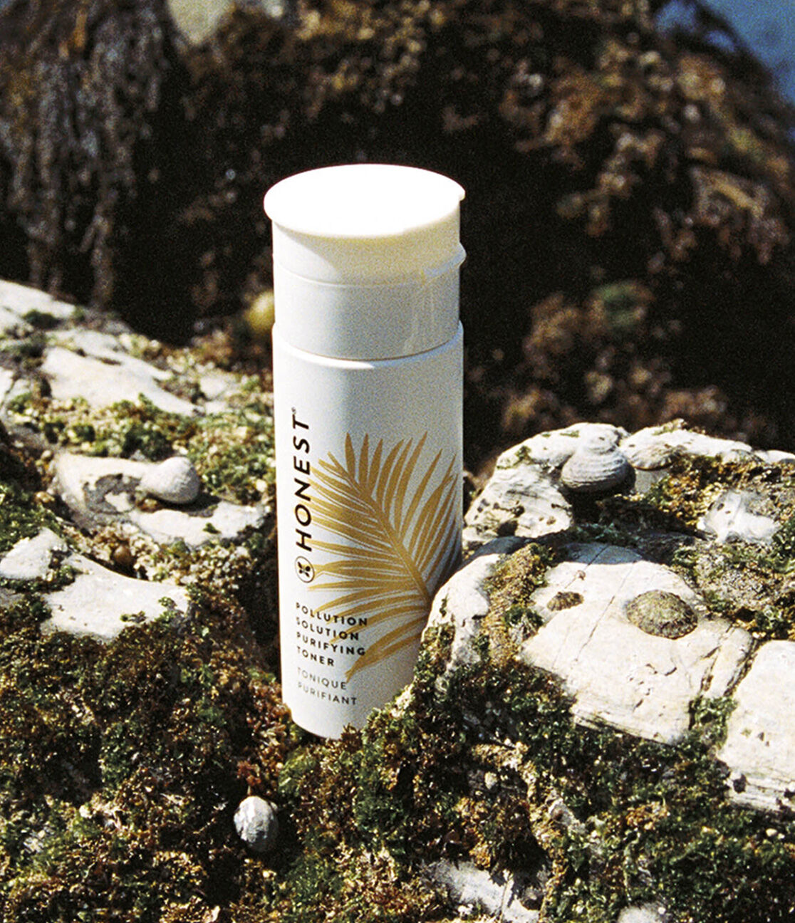 What Does Toner Do & Why Should You Use It?