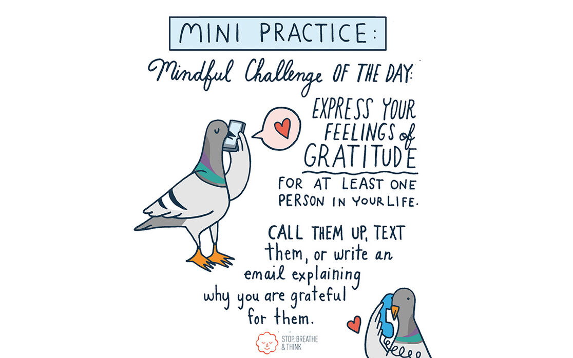 Find Gratitude with Stop, Breathe & Think