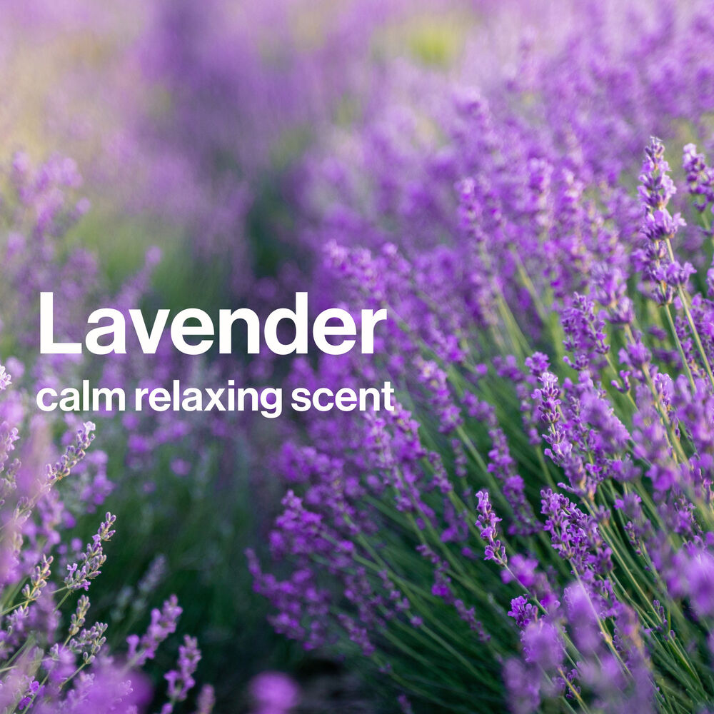 Disney Shampoo + Lotion Duo, Calm