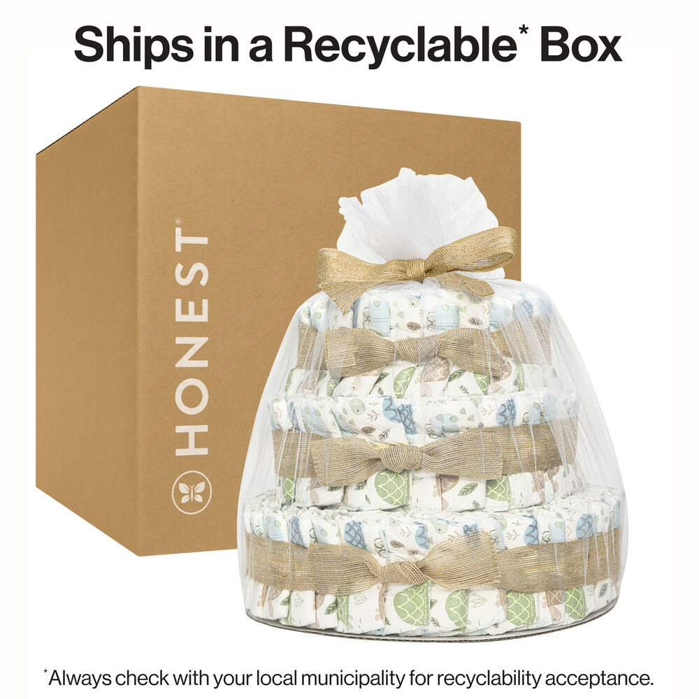 Diaper Cake, Turtle Time, Deluxe