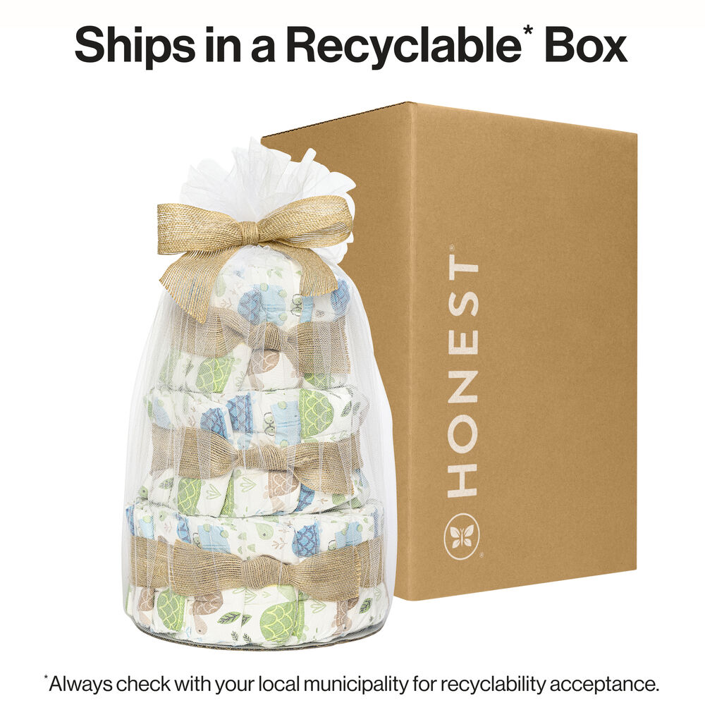 Diaper Cake, Turtle Time