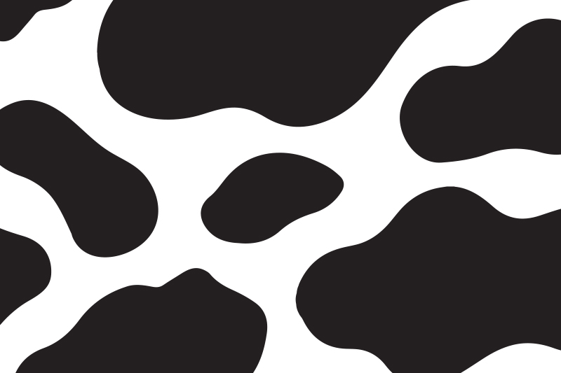 Behind the Scenes of Our Spring Diaper Shoot: Meet Karley